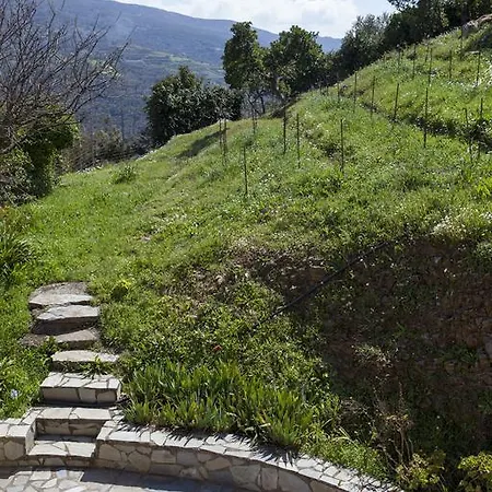 Villa Aori Hillside