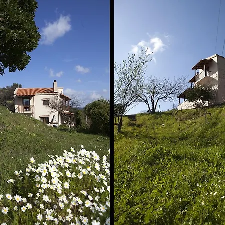 Villa Aori Hillside